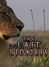 La ultima leona